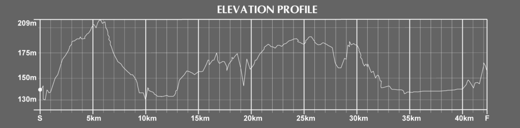 Austin Marathon Course Elevation