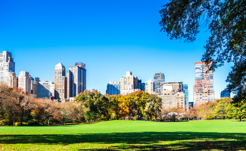 Landscape of the New York City Marathon