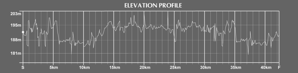 elevation of the prague marathon