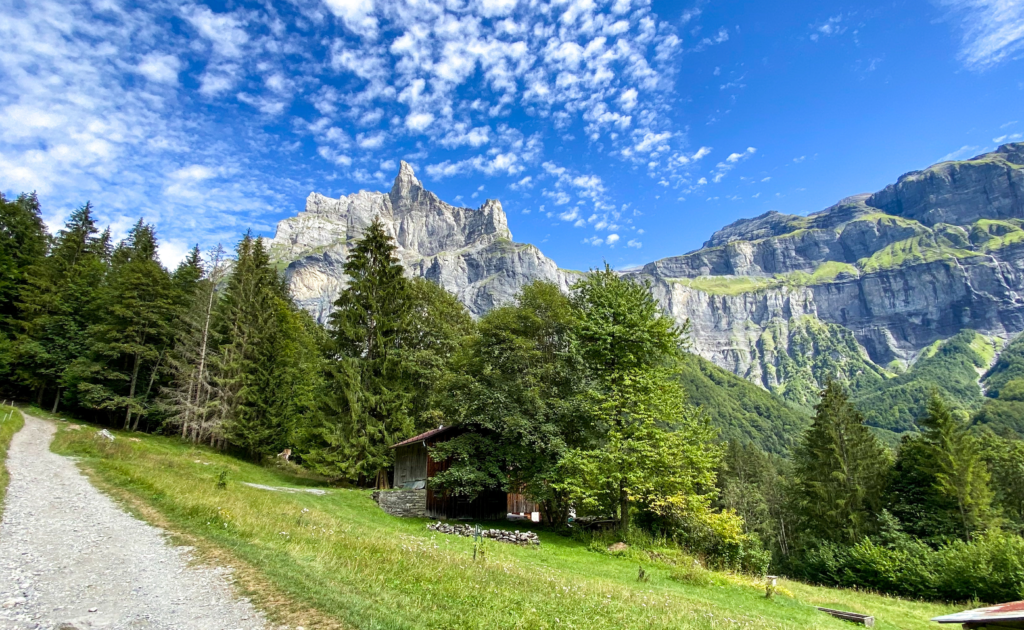 Landscape of the Geneva Marathon