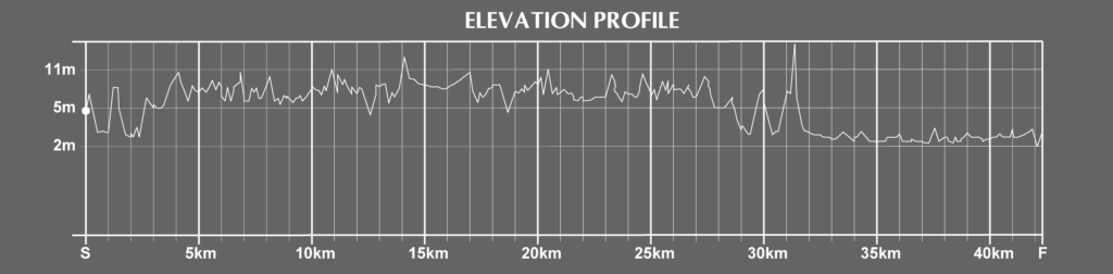 elevation of the gold coast marathon