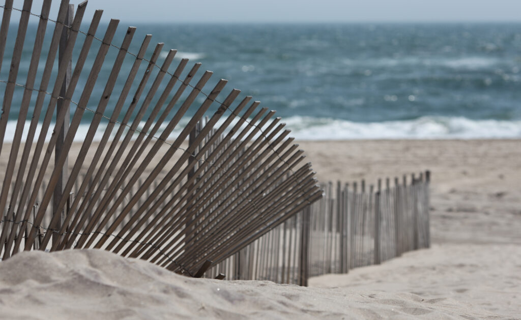 Landscape of the Hamptons Marathon