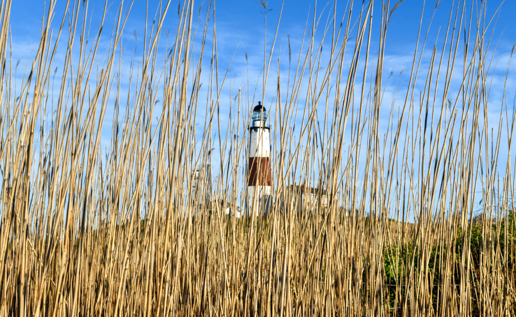 Landscape of the Hamptons Marathon