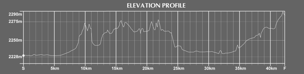 elevation of the mexico city marathon