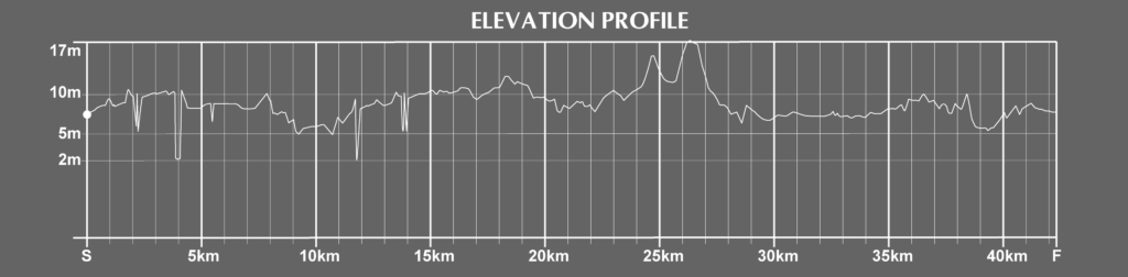 elevation of the sevilla marathon