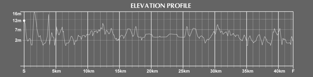 Yokohama Marathon Course Elevation