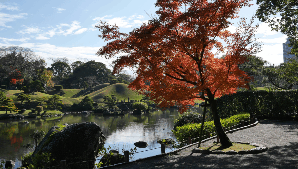 A View of Kumamoto where the Kumamoto Castle Marathon is being held