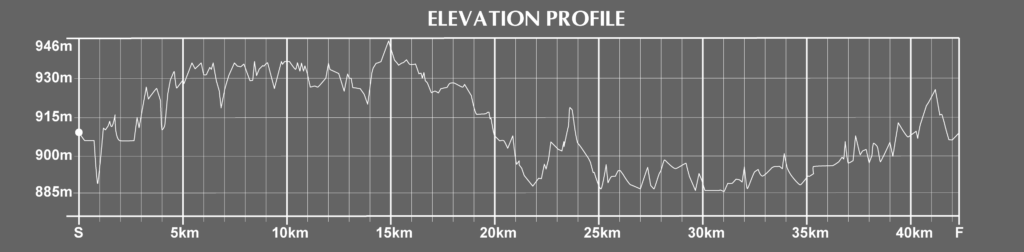 Curitiba Marathon Course Elevation