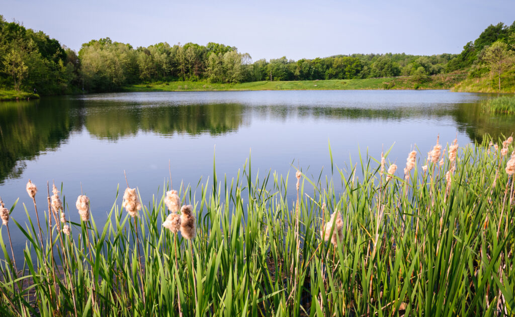 Landscape of the Akron Marathon 