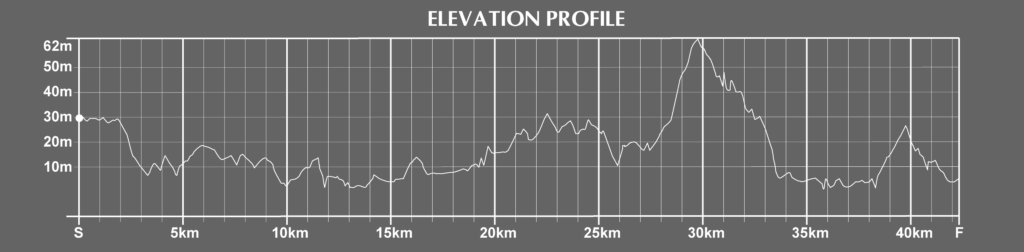 elevation of the belfast city marathon