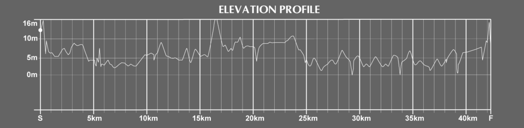 elevation of the fukuoka international marathon