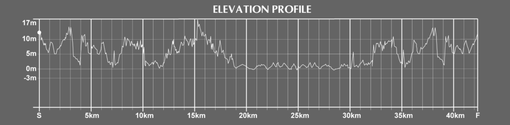 elevation of the hamptons marathon