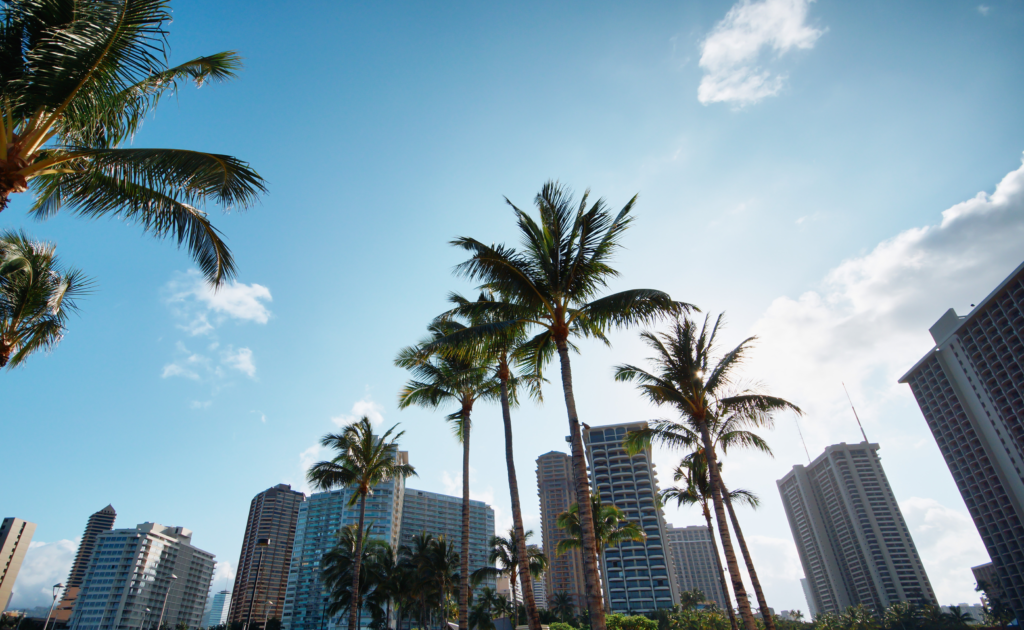 Landscape of the Honolulu Marathon