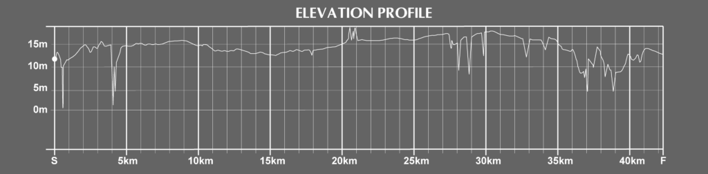 elevation of the houston marathon