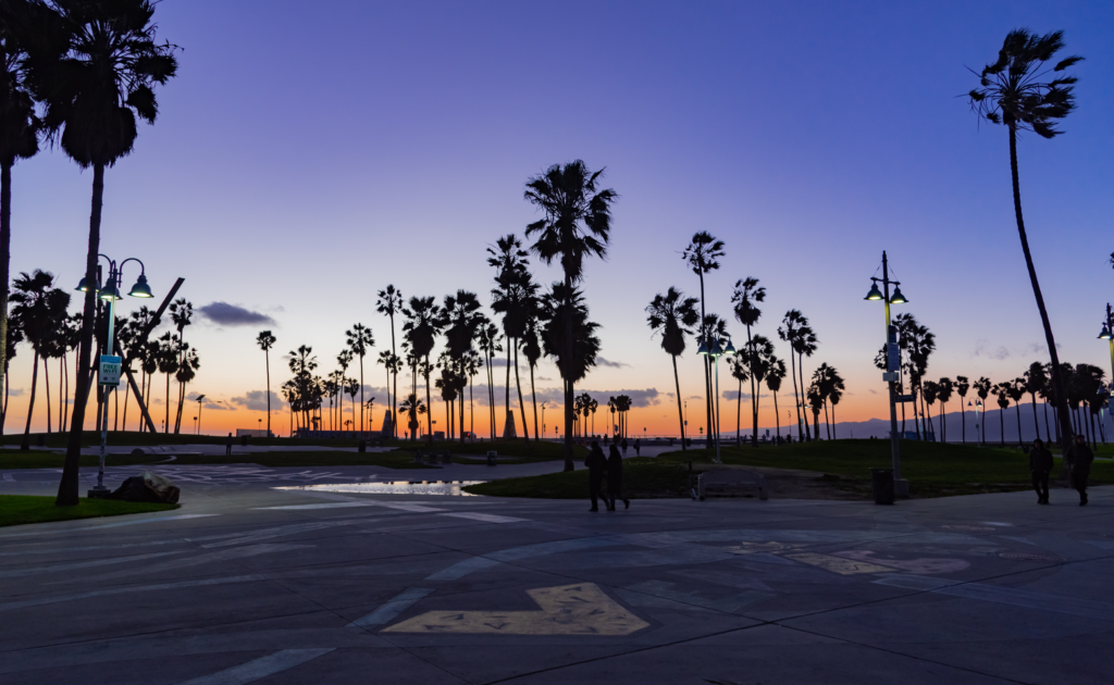 Landscape of the Los Angeles Marathon