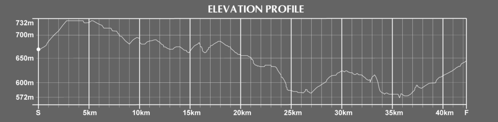 elevation of the madrid marathon