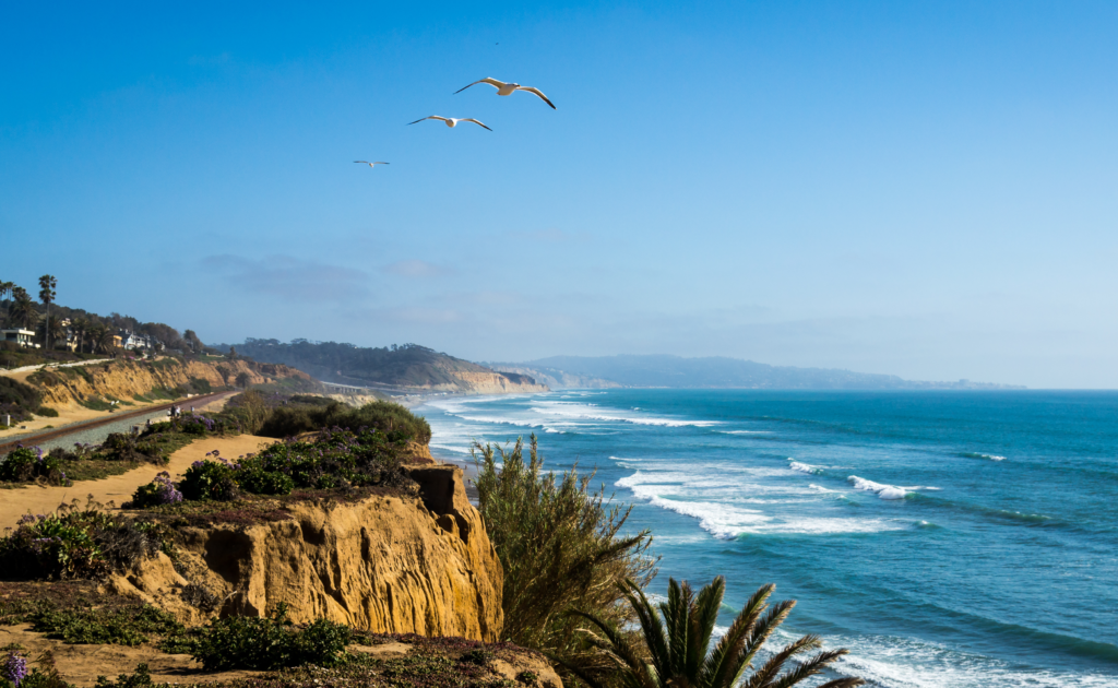 Landscape of the San Diego Marathon