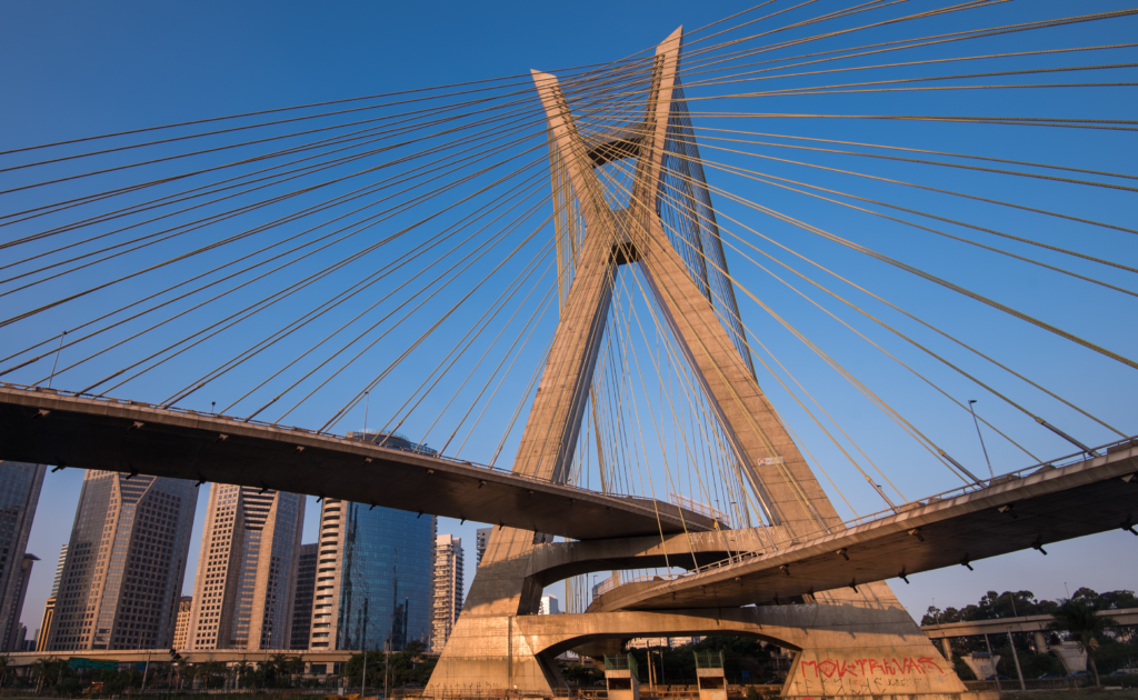 Landscape of the Sao Paulo International Marathon