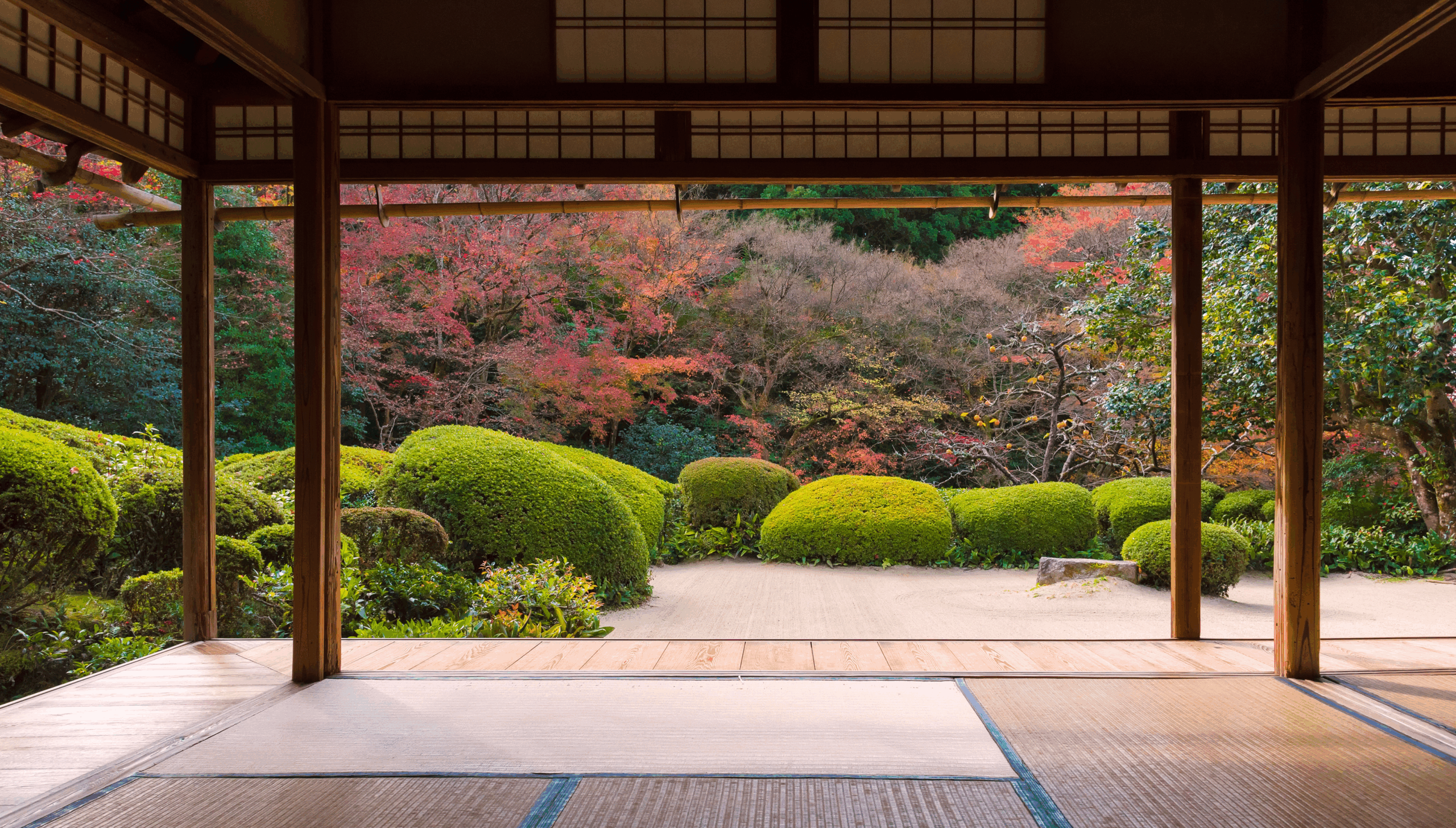 京都マラソンが行われる京都の風景