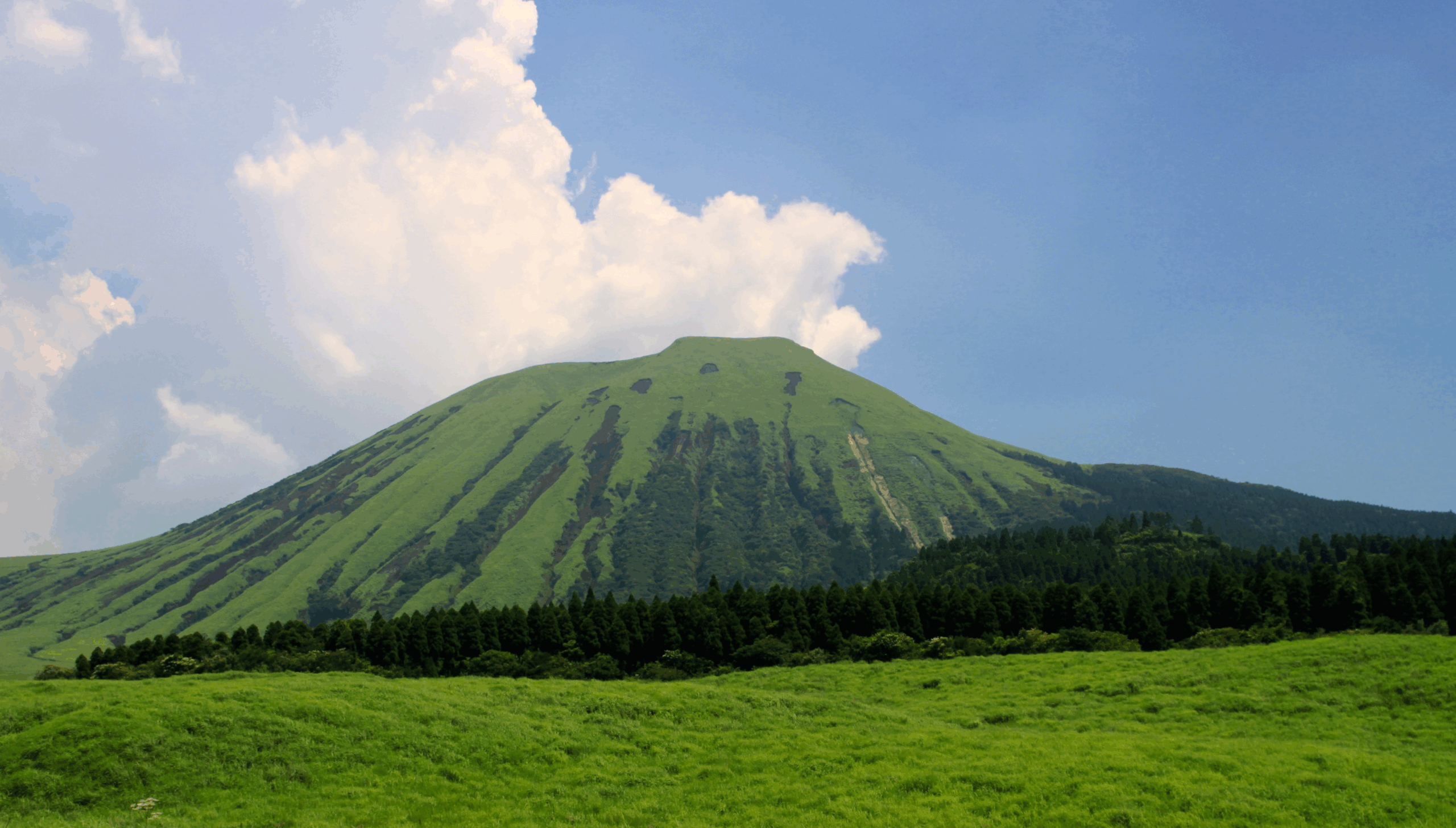 熊本城マラソンが行われる熊本の風景